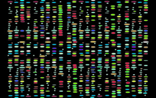 DNA mapping grid